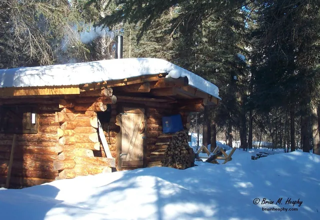 Snow-covered log cabin with smoke rising from its stovepipe, stacked firewood and a sawhorse in a sunlit spruce forest
