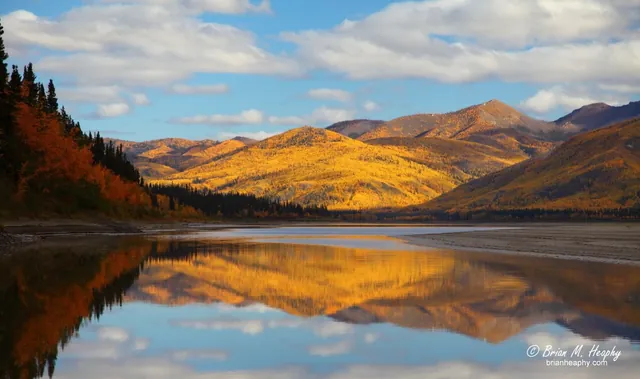Hills in autumn gold and orange mirrored in a still river under a blue sky with white clouds