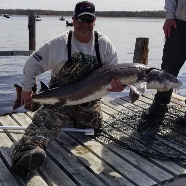 Todd Schnorr in a cap and sunglasses kneeling on a wooden dock, holding a large sturgeon beside a landing net