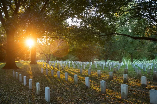 Low sun shining through trees over rows of white headstones on a leaf-covered lawn at Arlington National Cemetery